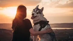 Najvernejší priateľ človeka: môže pes zabudnúť na svojho majiteľa?